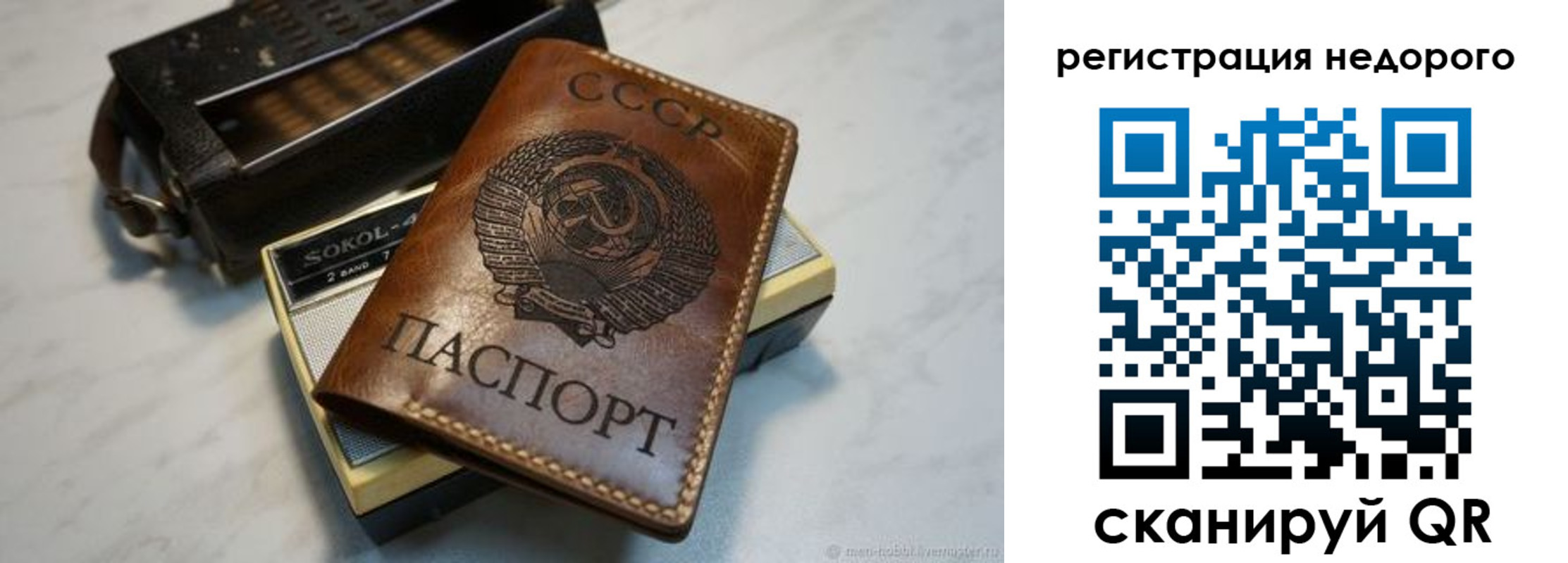 прописка паспорт в Гвардейске